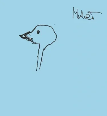 Muher