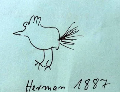 Herman
