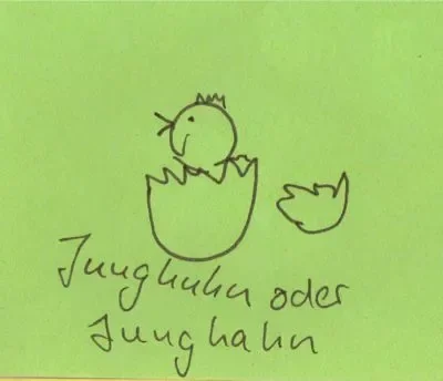 Junghuhn