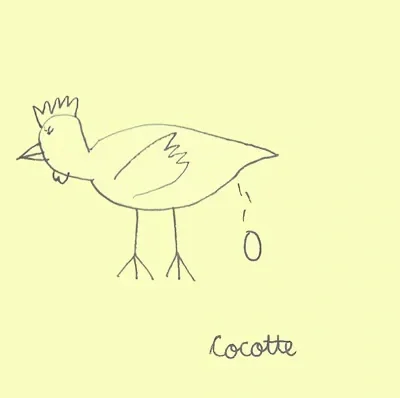 Cocotte