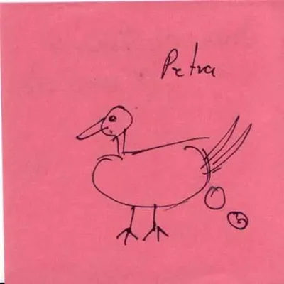 Petrahuhn