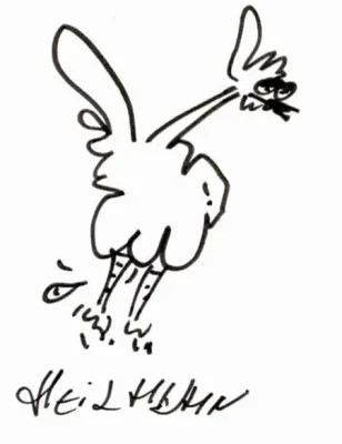 Heilhuhn
