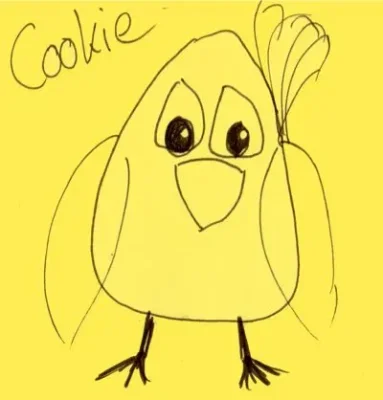 Cookie
