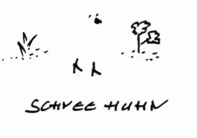 Schneehuhn