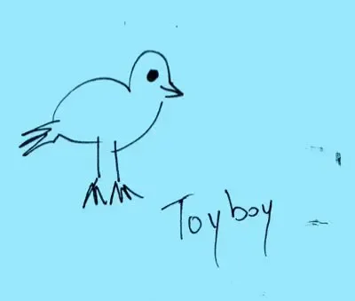 Toyboy
