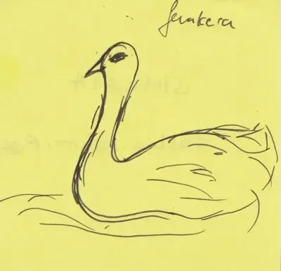 Shakera