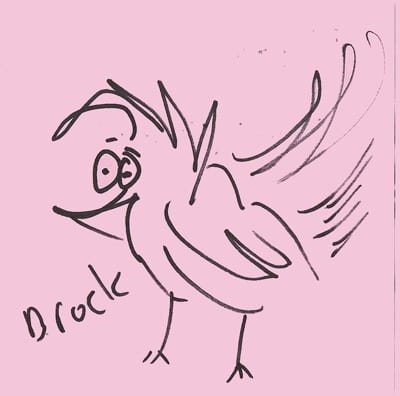 Block DJ Wren