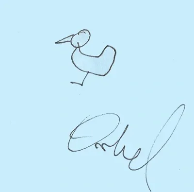Komfortrauschen Chicken