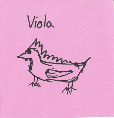 Viola