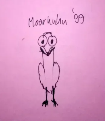 Moorhuhn99