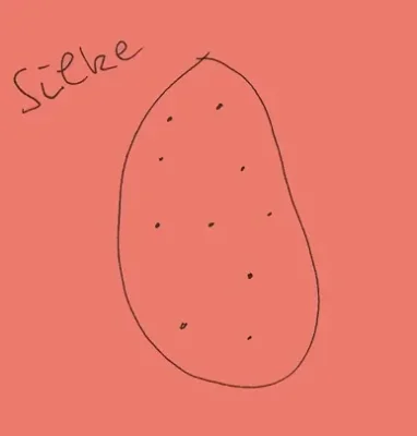 Silke