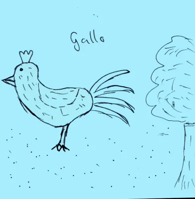 Gallo