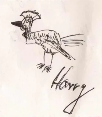 harry