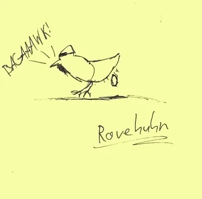 Ravehuhn