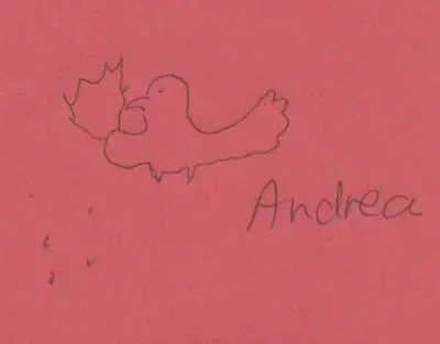 andrea