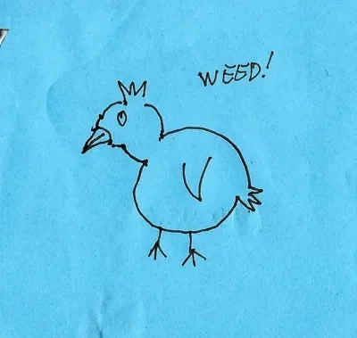 Weed