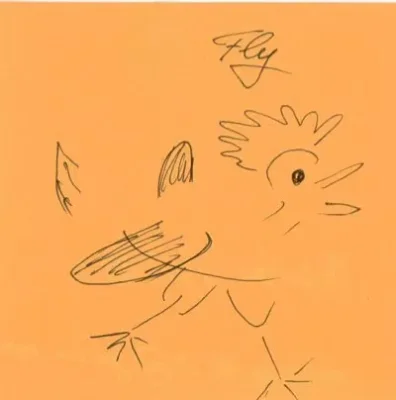 Fly