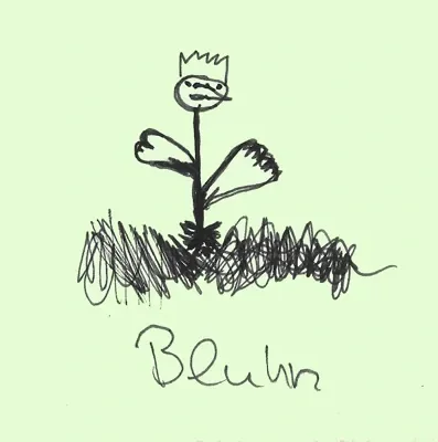 Bluhm DJ Opitz
