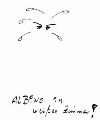 Albinohuhn