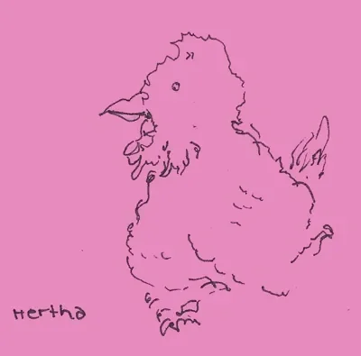 Herta