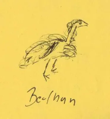 Berlhuhn