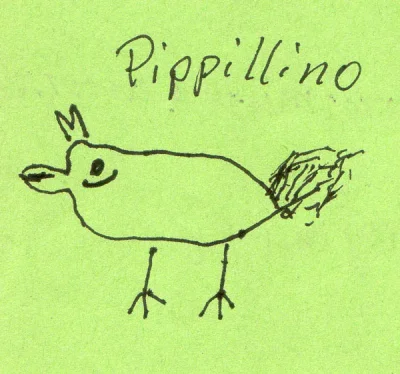 Pippillinohuhn