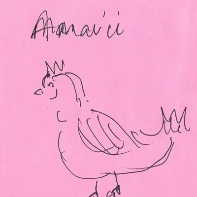 Amavii