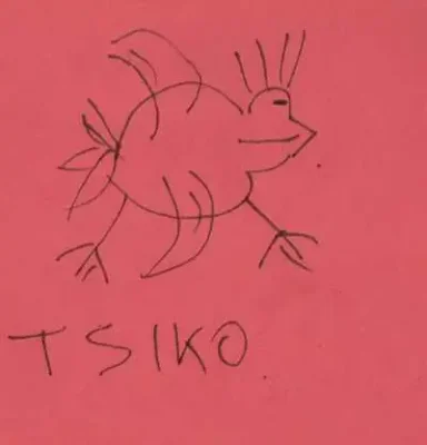 Tsiko