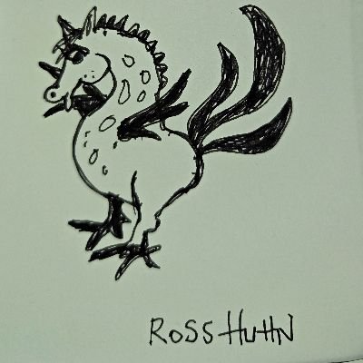 Rosshuhn