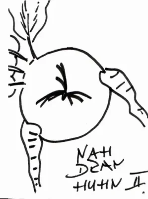 Nahdranhuhn2