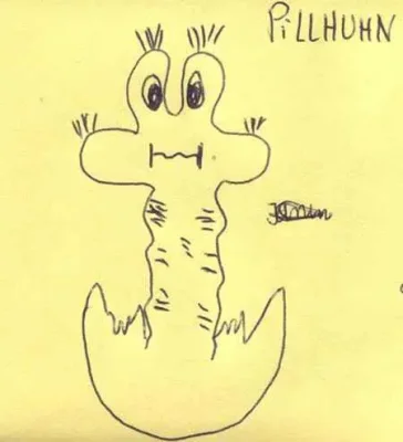 Pillhuhn
