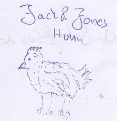Jack_jones