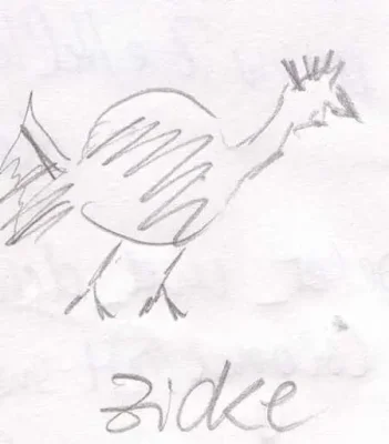 Zicke