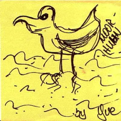 Moorhuhn_1