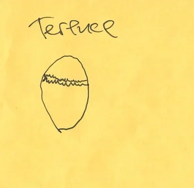 Terenee