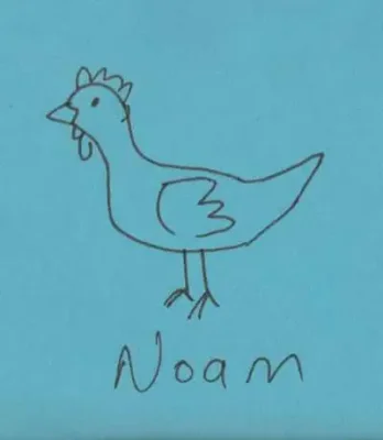 noam