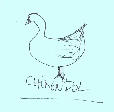 Chickenpol