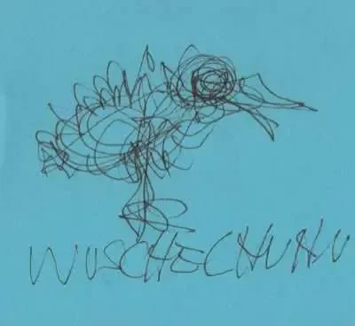Wuschelhuhn