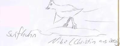 Surfhuhn