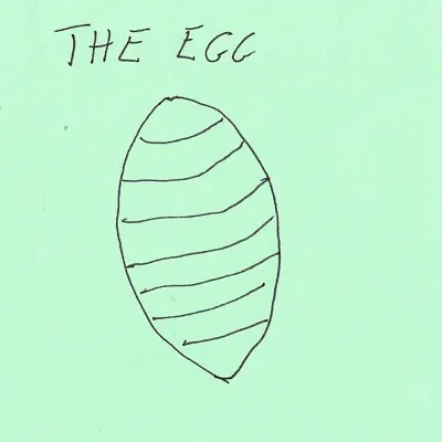 The Egg