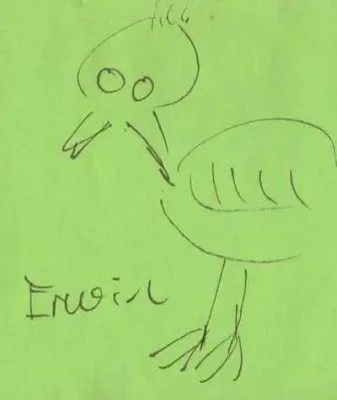 Erwin