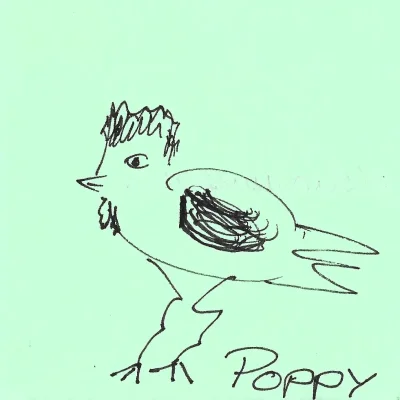Poppy