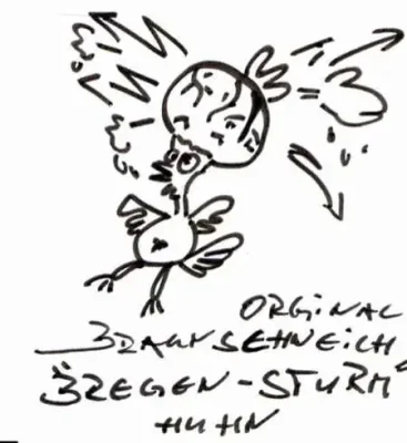 Bregenhuhn