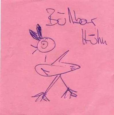 Bullbarhuhn