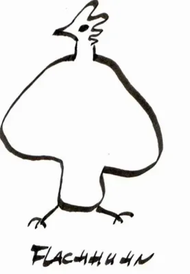 Flachuhn