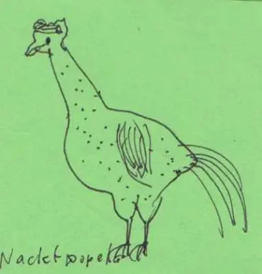 Nacketpopekg