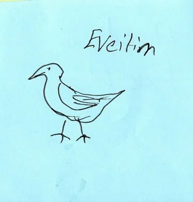 Eveitim