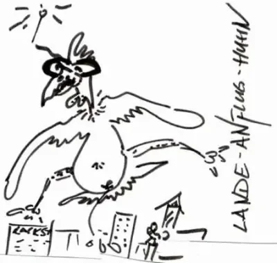 Landeanflughuhn