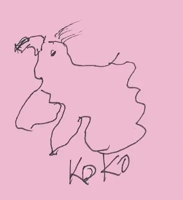 Koko