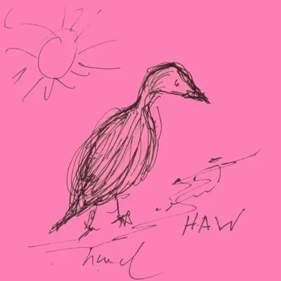 Haw